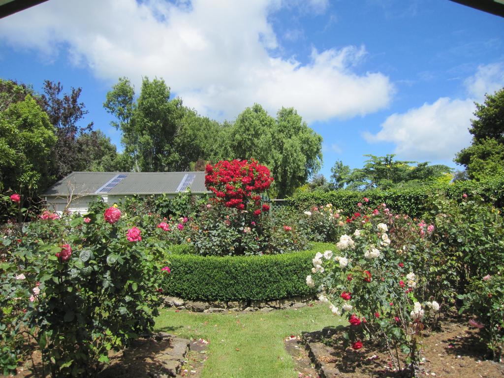 Thyme Out Estate Bed and Breakfast Halcombe Buitenkant foto