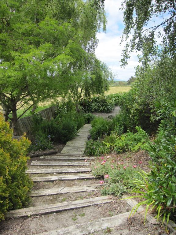Thyme Out Estate Bed and Breakfast Halcombe Buitenkant foto