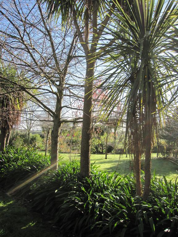 Thyme Out Estate Bed and Breakfast Halcombe Buitenkant foto