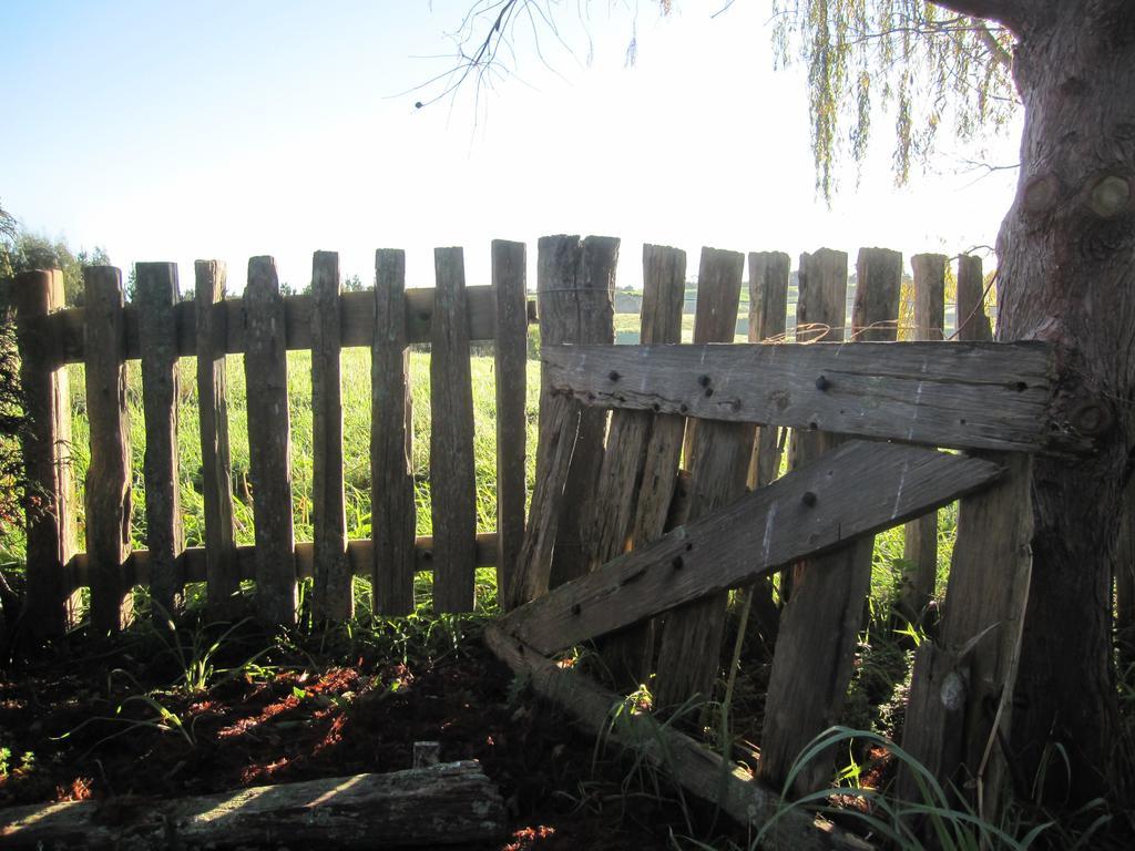 Thyme Out Estate Bed and Breakfast Halcombe Buitenkant foto