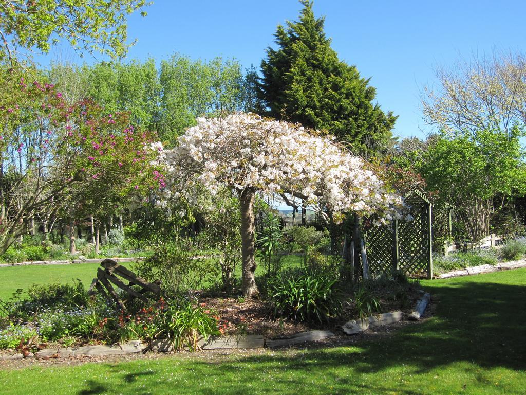 Thyme Out Estate Bed and Breakfast Halcombe Buitenkant foto