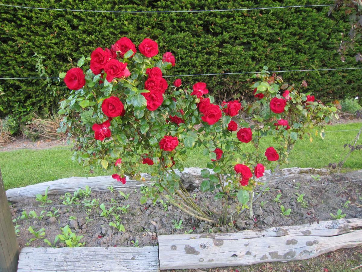 Thyme Out Estate Bed and Breakfast Halcombe Buitenkant foto